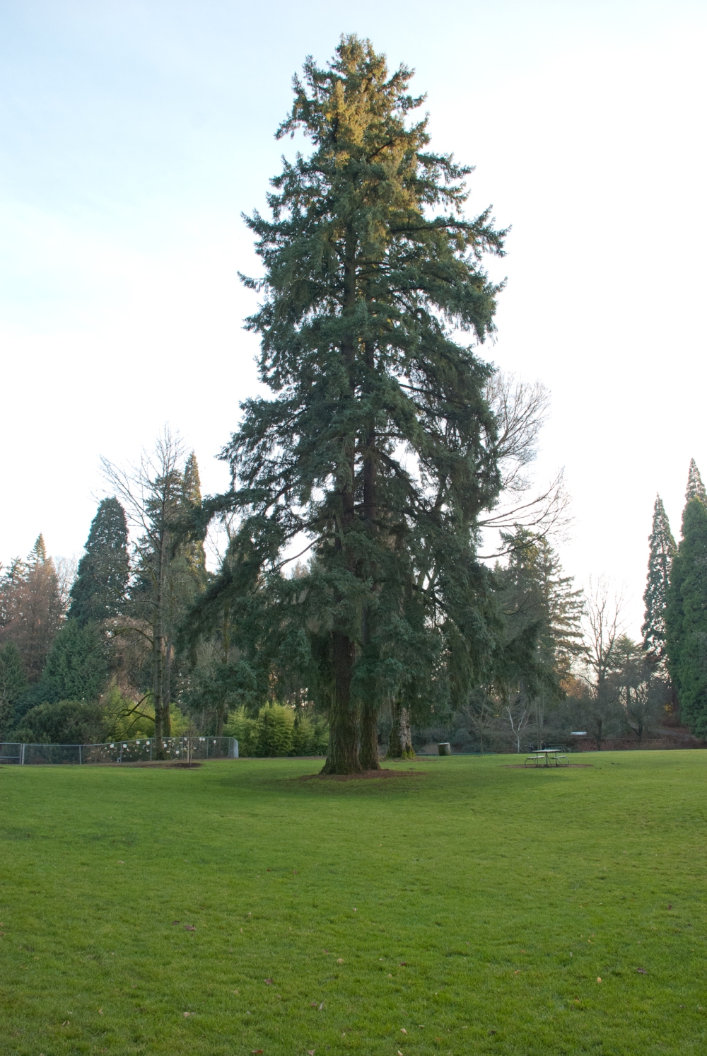 Portland's Prettiest Park